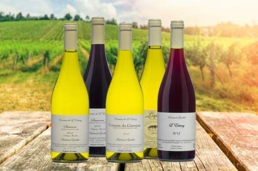 Bertrand Graillot-Vins de Sancerre-achat-en-ligne