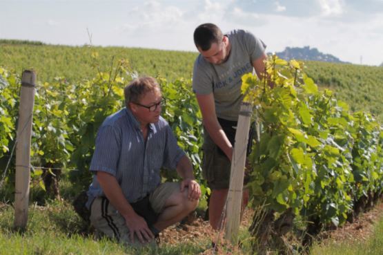 DOMAINE GIRAULT Pierre et Fils-Vins de Sancerre-achat-en-ligne